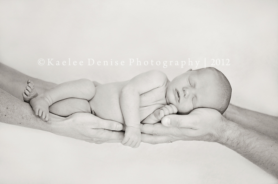 Kaelee Denise Photography