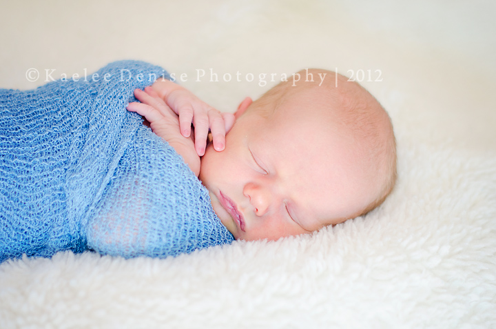 Kaelee Denise Photography