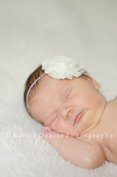 Kaelee Denise Photography