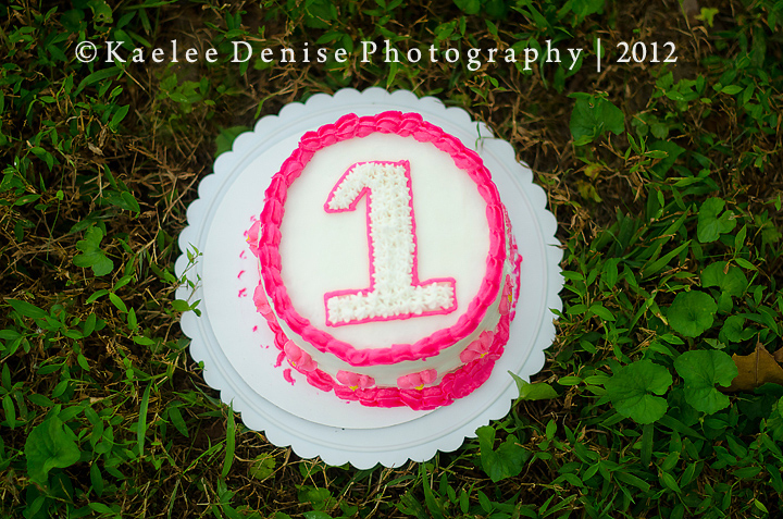 Kaelee Denise Photography