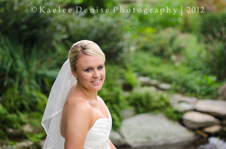 Kaelee Denise Photography