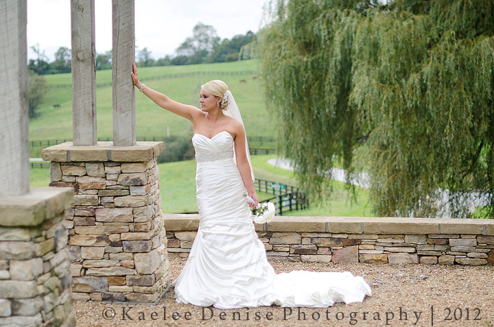 Kaelee Denise Photography