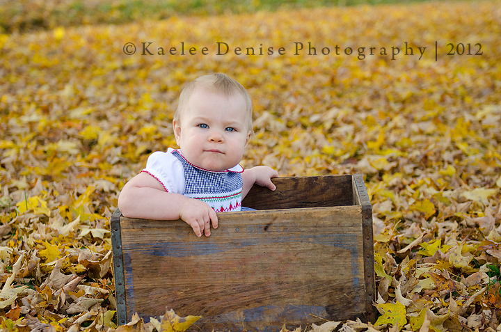 Kaelee Denise Photography