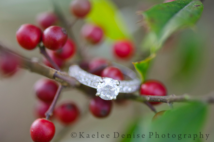 Kaelee Denise Photography