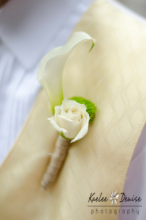 Kaelee Denise Photography