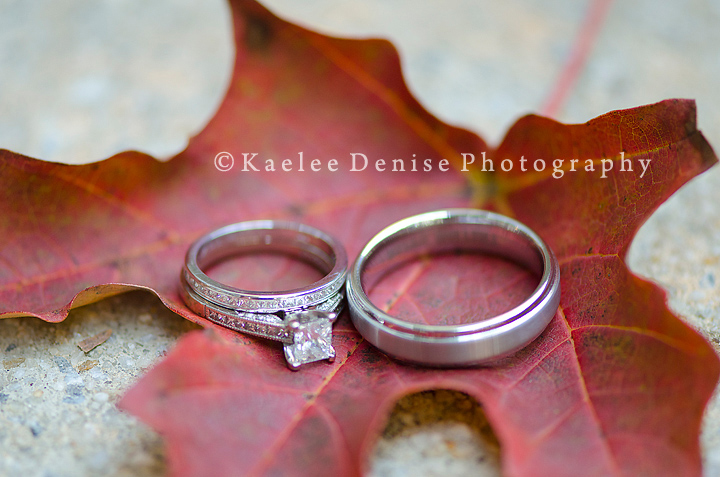 Kaelee Denise Photography