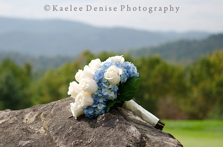 Kaelee Denise Photography