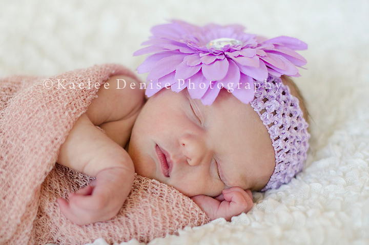 Kaelee Denise Photography