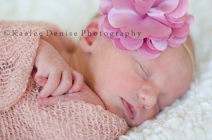 Kaelee Denise Photography