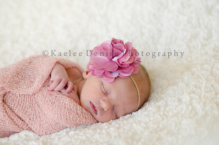 Kaelee Denise Photography