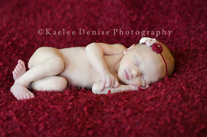 Kaelee Denise Photography