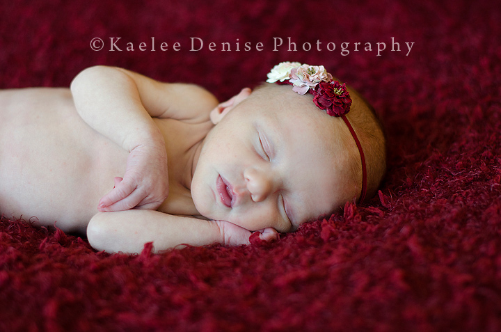 Kaelee Denise Photography