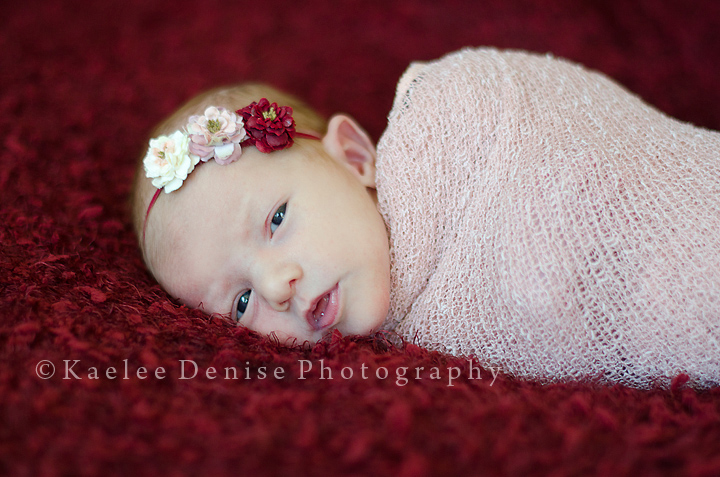 Kaelee Denise Photography