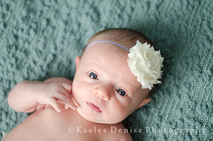 Kaelee Denise Photography