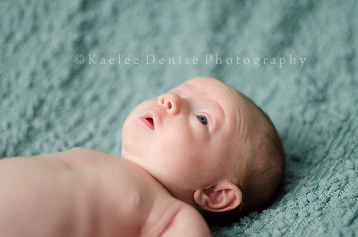 Kaelee Denise Photography