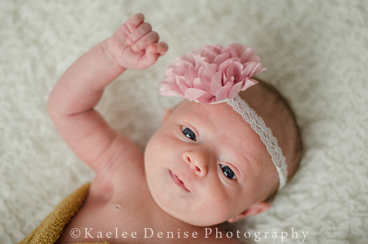 Kaelee Denise Photography