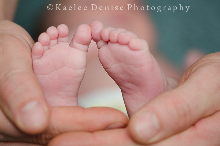 Kaelee Denise Photography