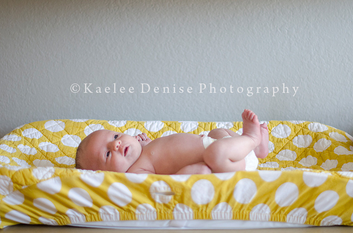 Kaelee Denise Photography