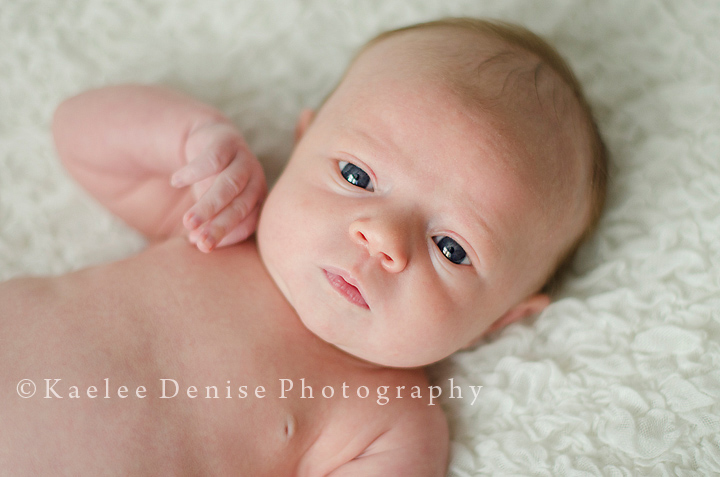 Kaelee Denise Photography