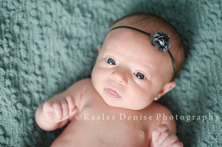 Kaelee Denise Photography