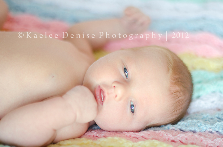 Kaelee Denise Photography