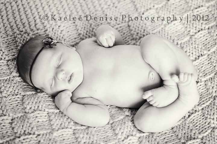 Kaelee Denise Photography