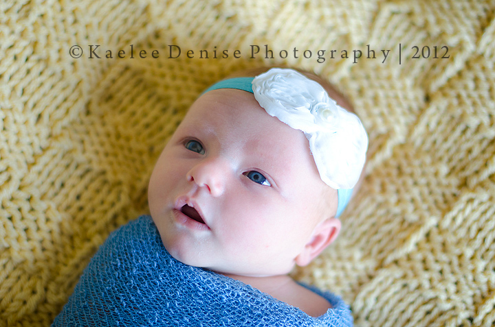 Kaelee Denise Photography