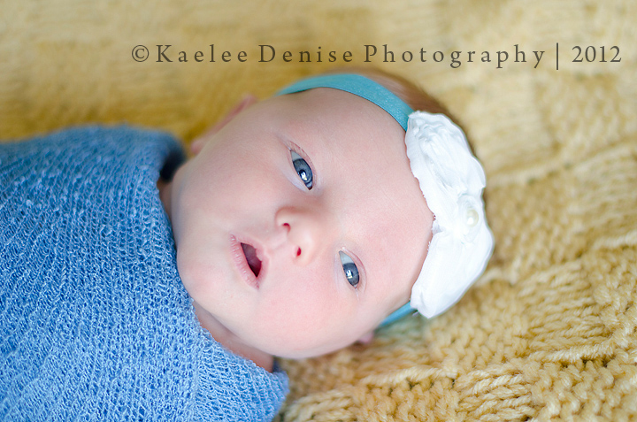 Kaelee Denise Photography