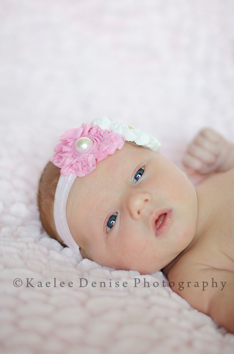Kaelee Denise Photography