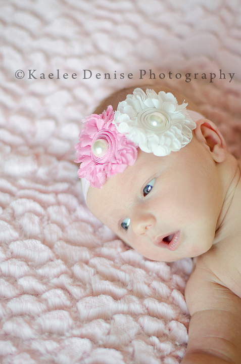 Kaelee Denise Photography