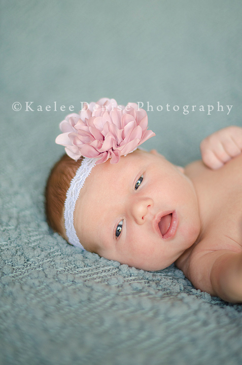 Kaelee Denise Photography