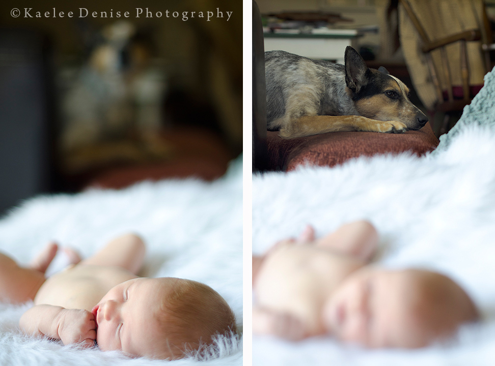 Kaelee Denise Photography