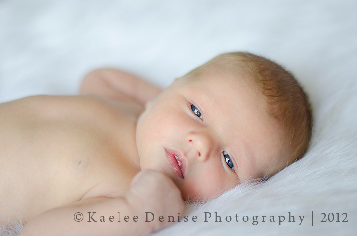 Kaelee Denise Photography
