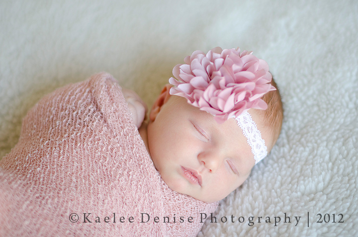 Kaelee Denise Photography