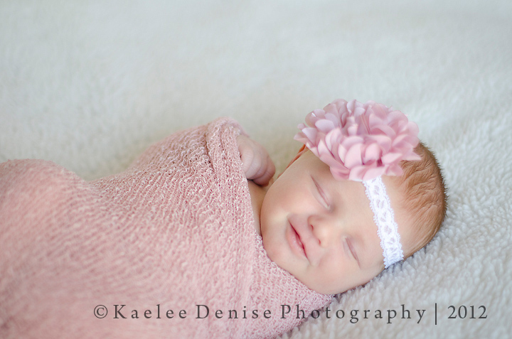 Kaelee Denise Photography