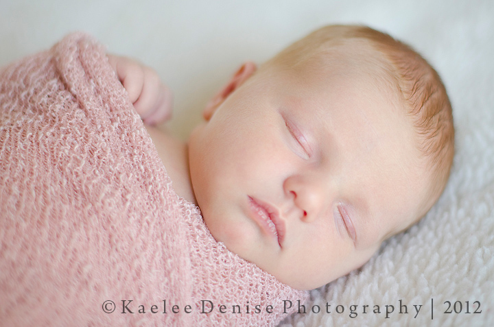 Kaelee Denise Photography