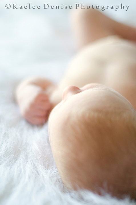 Kaelee Denise Photography