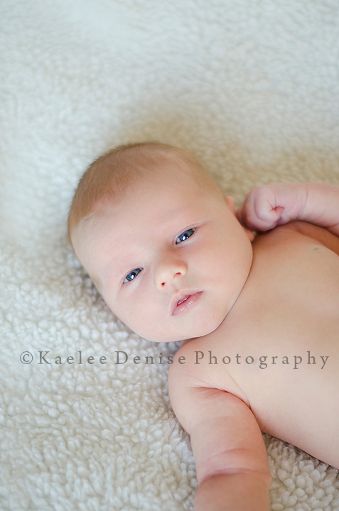 Kaelee Denise Photography