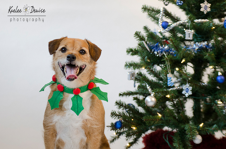 Kaelee Denise Photography