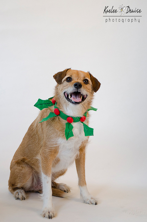 Kaelee Denise Photography