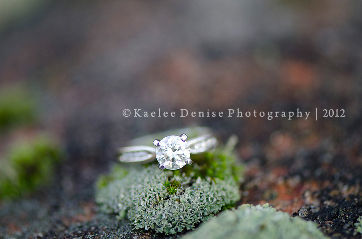 Kaelee Denise Photography