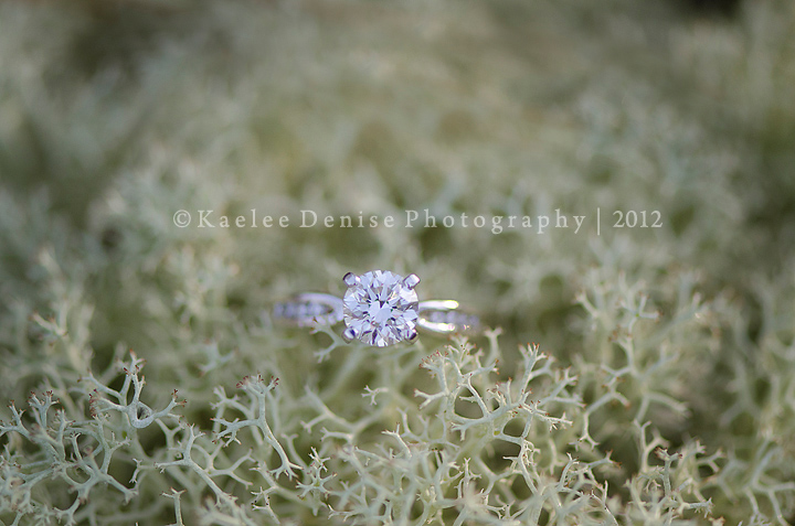 Kaelee Denise Photography