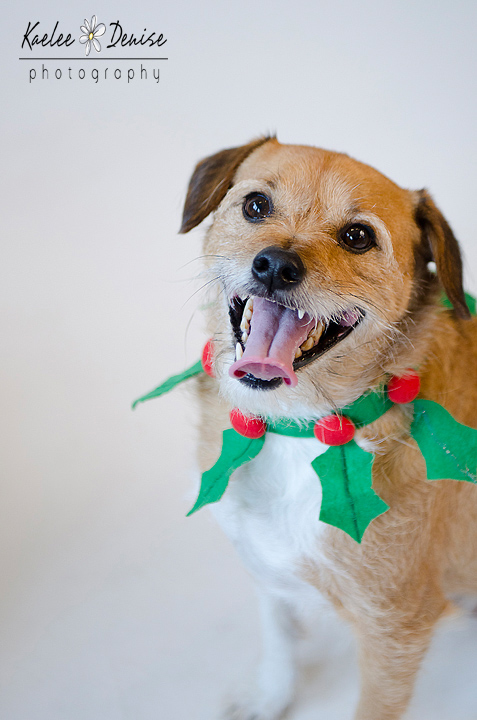 Kaelee Denise Photography