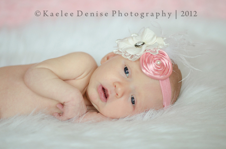 Kaelee Denise Photography