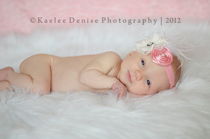 Kaelee Denise Photography