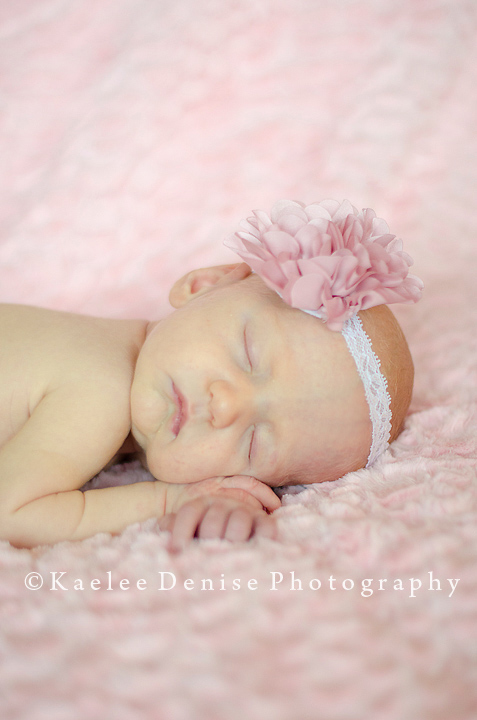 Kaelee Denise Photography