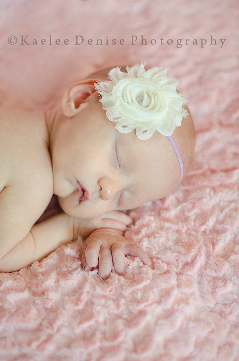 Kaelee Denise Photography