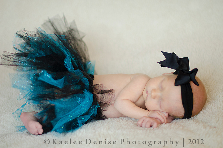 Kaelee Denise Photography