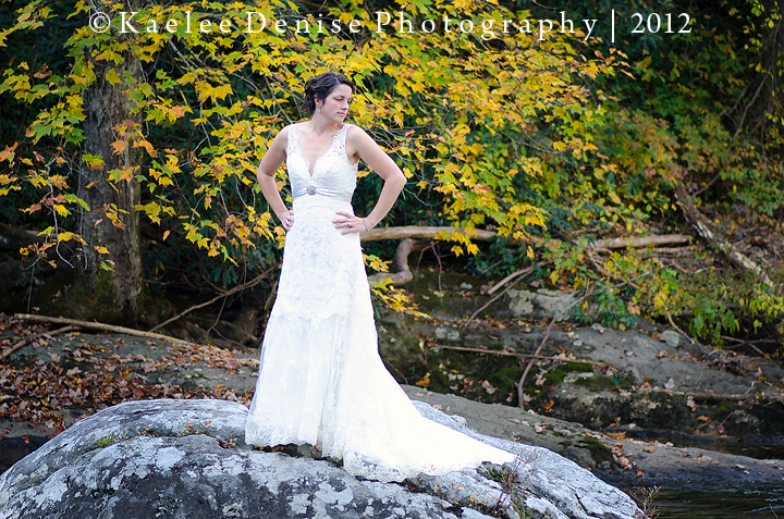 Kaelee Denise Photography