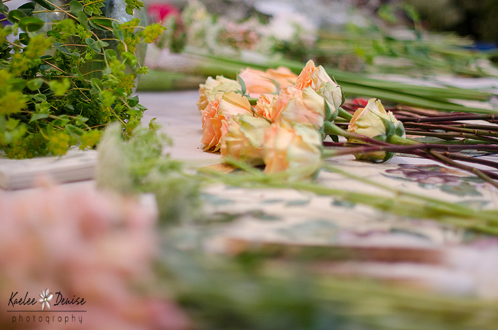 Kaelee Denise Photography